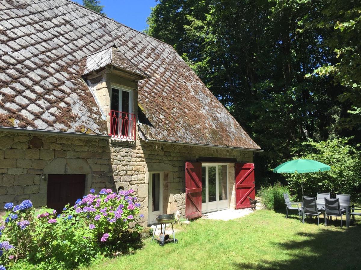 Gites Chateau Le Bois Saint-Julien-aux-Bois Екстер'єр фото