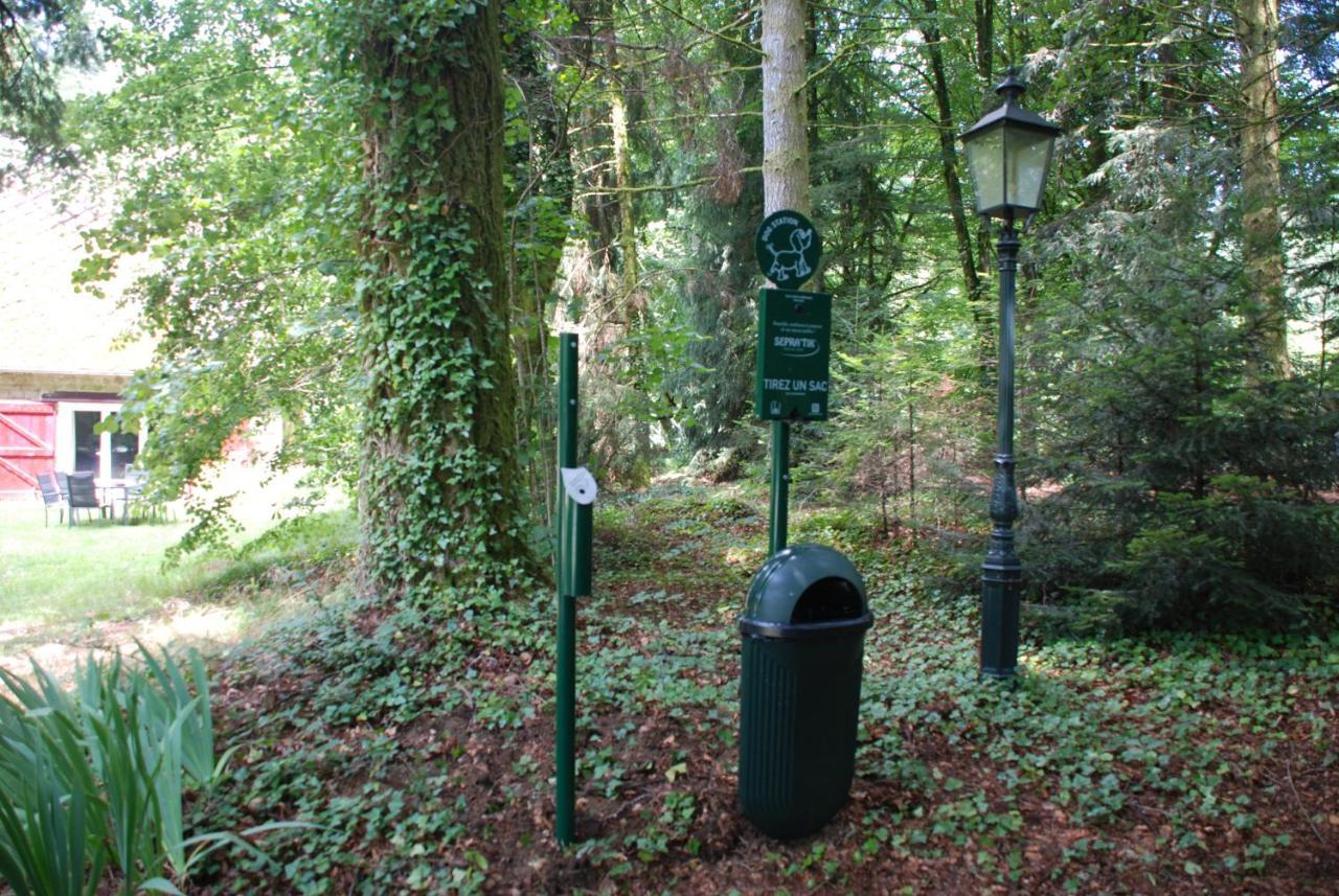 Gites Chateau Le Bois Saint-Julien-aux-Bois Екстер'єр фото