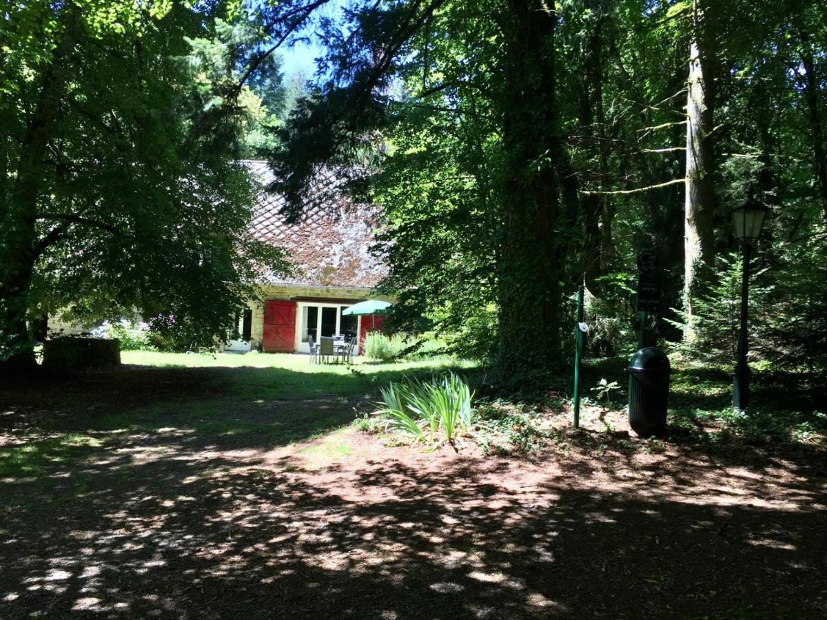 Gites Chateau Le Bois Saint-Julien-aux-Bois Екстер'єр фото